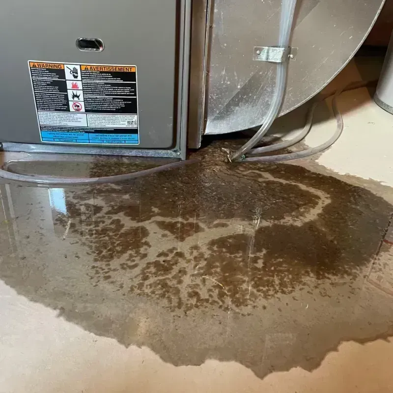 Appliance Leak Cleanup in Grant Park, IL